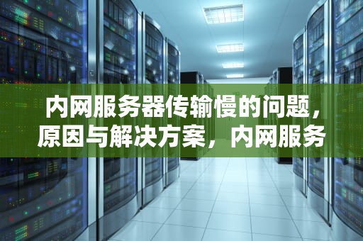 内网服务器传输慢的问题，原因与解决方案，内网服务器传输慢的问题有哪些