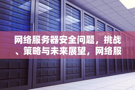 网络服务器安全问题，挑战、策略与未来展望，网络服务器安全问题怎么解决