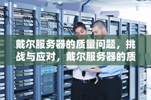 戴尔服务器的质量问题，挑战与应对，戴尔服务器的质量问题有哪些