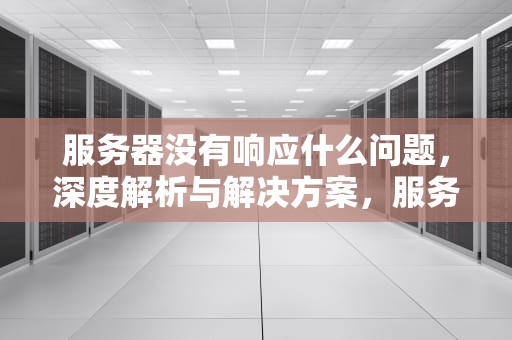 服务器没有响应什么问题，深度解析与解决方案，服务器没有响应什么问题啊