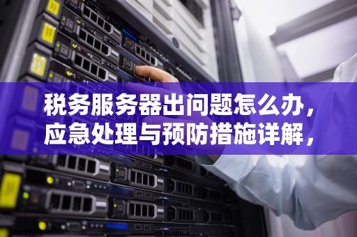 税务服务器出问题怎么办，应急处理与预防措施详解，税务服务器出问题怎么办啊