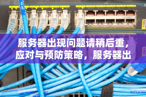 服务器出现问题请稍后重，应对与预防策略，服务器出现问题请稍后重试怎么办
