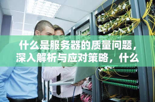 什么是服务器的质量问题，深入解析与应对策略，什么是服务器的质量问题呢
