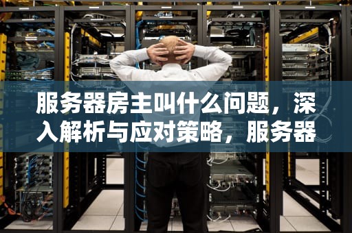 服务器房主叫什么问题，深入解析与应对策略，服务器房间