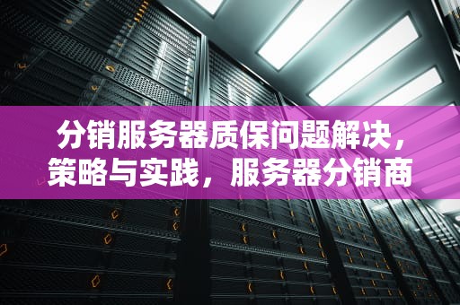 分销服务器质保问题解决，策略与实践，服务器分销商