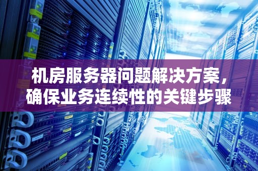 机房服务器问题解决方案，确保业务连续性的关键步骤，机房里的服务器是干什么用的