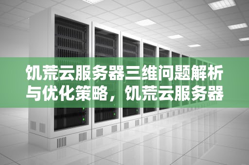 饥荒云服务器三维问题解析与优化策略，饥荒云服务器三维有问题怎么解决