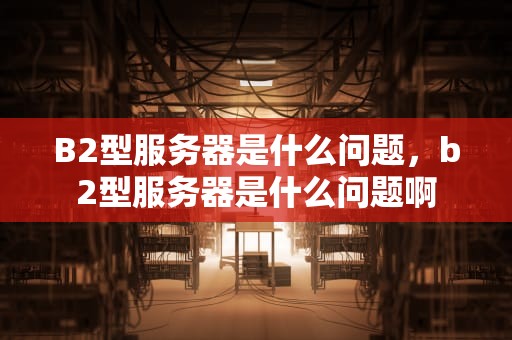 B2型服务器是什么问题，b2型服务器是什么问题啊