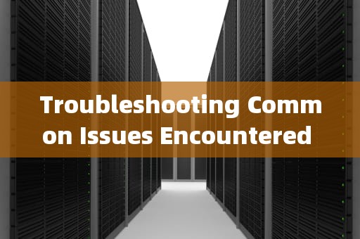 Troubleshooting Common Issues Encountered by Servers，服务器遇到一些问题英文怎么说