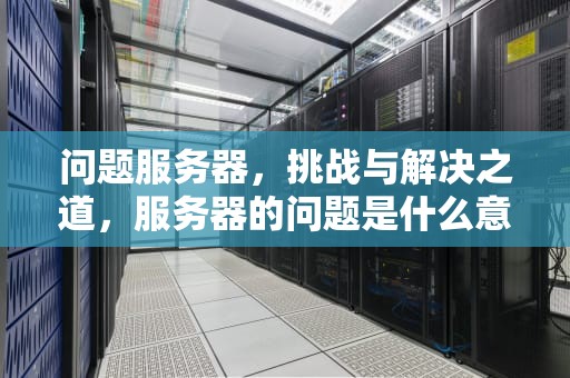问题服务器，挑战与解决之道，服务器的问题是什么意思