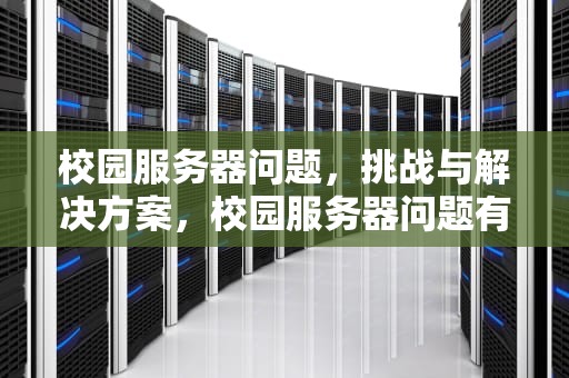 校园服务器问题，挑战与解决方案，校园服务器问题有哪些