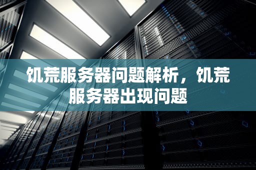 饥荒服务器问题解析，饥荒服务器出现问题