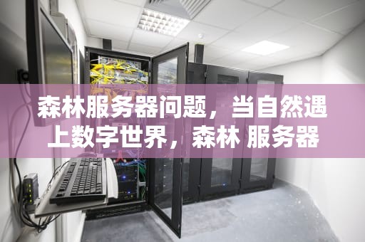 森林服务器问题，当自然遇上数字世界，森林 服务器