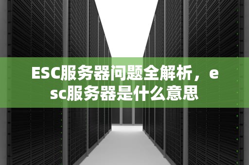 ESC服务器问题全解析，esc服务器是什么意思