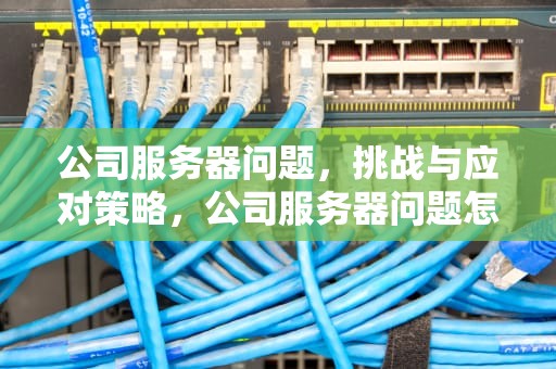 公司服务器问题，挑战与应对策略，公司服务器问题怎么解决