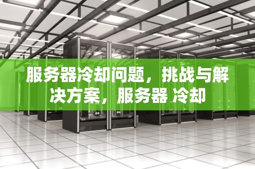 服务器冷却问题，挑战与解决方案，服务器 冷却