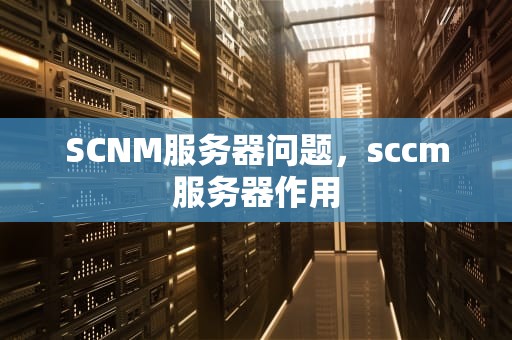 SCNM服务器问题，sccm服务器作用