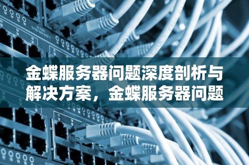 金蝶服务器问题深度剖析与解决方案，金蝶服务器问题怎么解决