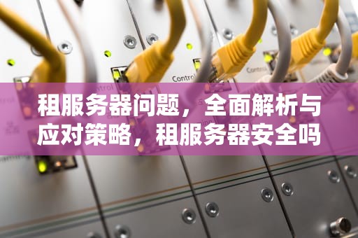 租服务器问题，全面解析与应对策略，租服务器安全吗
