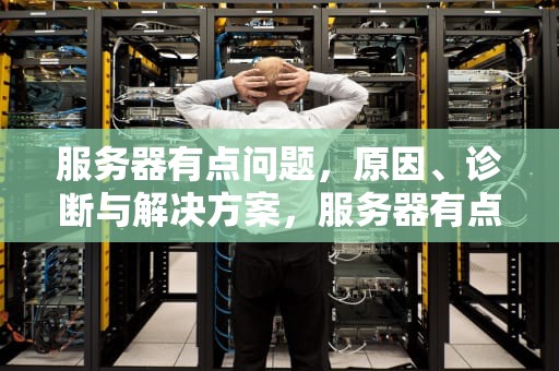 服务器有点问题，原因、诊断与解决方案，服务器有点问题拼多多
