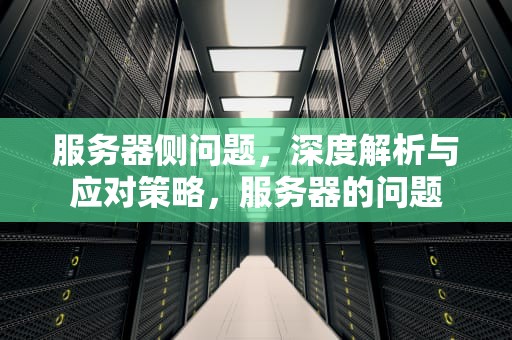 服务器侧问题，深度解析与应对策略，服务器的问题