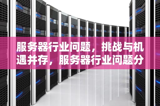 服务器行业问题，挑战与机遇并存，服务器行业问题分析