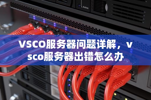 VSCO服务器问题详解，vsco服务器出错怎么办