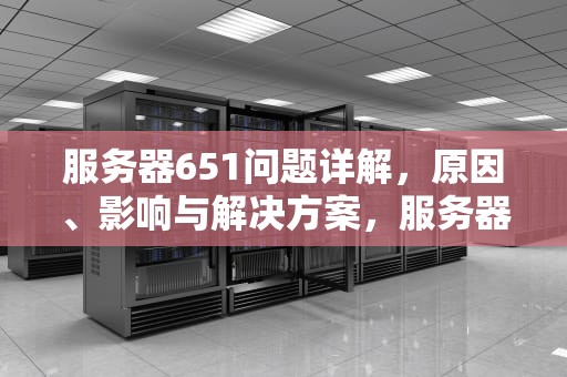 服务器651问题详解，原因、影响与解决方案，服务器651出错是指什么方面的错误