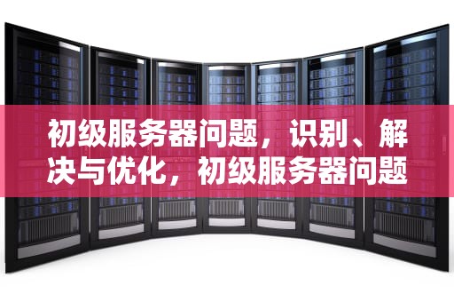 初级服务器问题，识别、解决与优化，初级服务器问题怎么解决