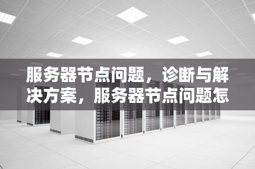 服务器节点问题，诊断与解决方案，服务器节点问题怎么解决
