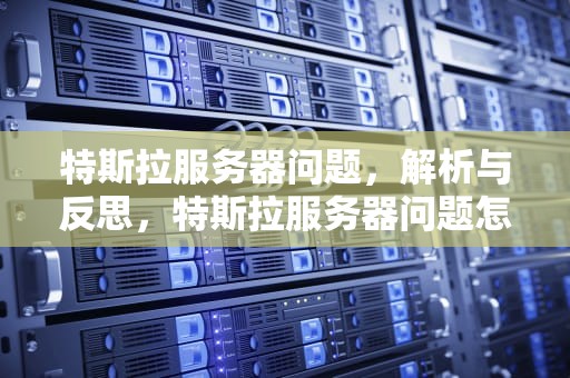特斯拉服务器问题，解析与反思，特斯拉服务器问题怎么解决