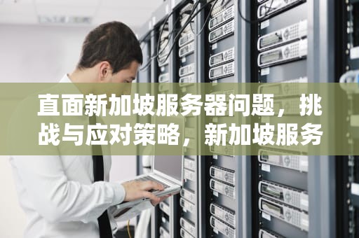 直面新加坡服务器问题，挑战与应对策略，新加坡服务器问题有哪些