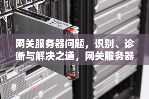 网关服务器问题，识别、诊断与解决之道，网关服务器问题怎么解决
