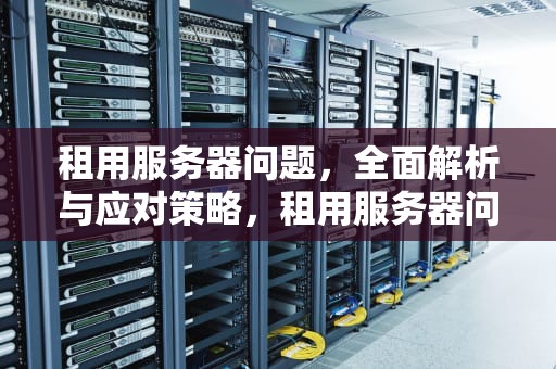 租用服务器问题，全面解析与应对策略，租用服务器问题怎么解决
