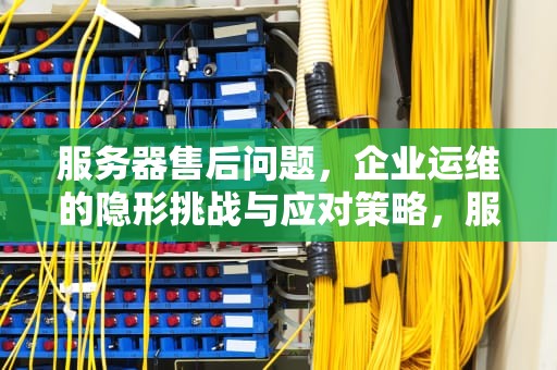 服务器售后问题，企业运维的隐形挑战与应对策略，服务器售后问题有哪些