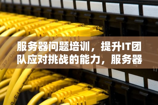 服务器问题培训，提升IT团队应对挑战的能力，服务器问题培训心得体会