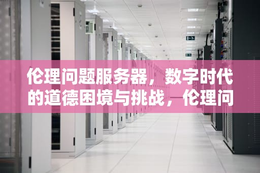伦理问题服务器，数字时代的道德困境与挑战，伦理问题服务器怎么解决