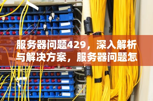 服务器问题429，深入解析与解决方案，服务器问题怎么解决
