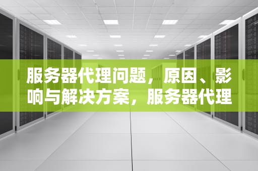 服务器代理问题，原因、影响与解决方案，服务器代理问题解决方法