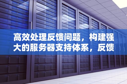 高效处理反馈问题，构建强大的服务器支持体系，反馈问题服务器异常