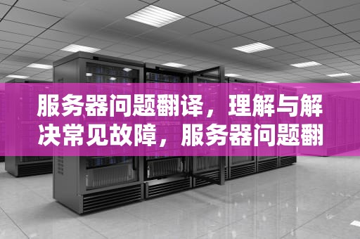 服务器问题翻译，理解与解决常见故障，服务器问题翻译成英文
