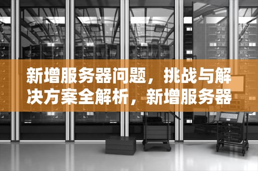 新增服务器问题，挑战与解决方案全解析，新增服务器问题怎么解决