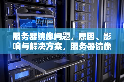 服务器镜像问题，原因、影响与解决方案，服务器镜像问题怎么解决
