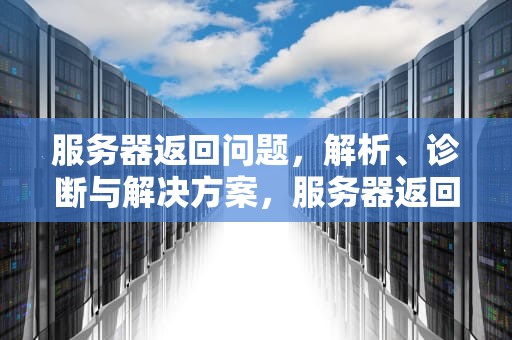 服务器返回问题，解析、诊断与解决方案，服务器返回问题怎么解决