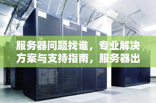 服务器问题找谁，专业解决方案与支持指南，服务器出了问题