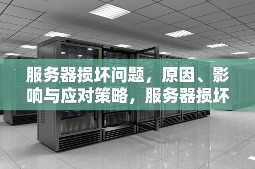 服务器损坏问题，原因、影响与应对策略，服务器损坏问题怎么解决