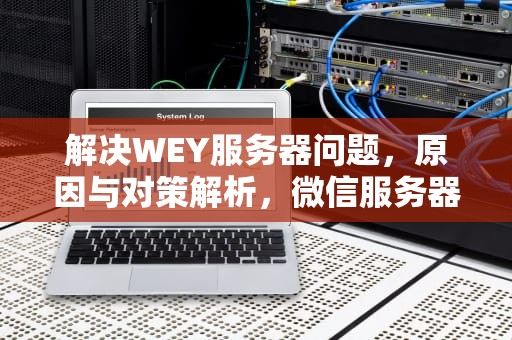 解决WEY服务器问题，原因与对策解析，微信服务器问题