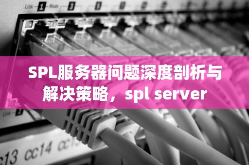 SPL服务器问题深度剖析与解决策略，spl server