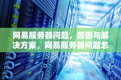 网易服务器问题，原因与解决方案，网易服务器问题怎么解决