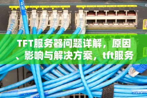 TFT服务器问题详解，原因、影响与解决方案，tft服务器错误怎么办